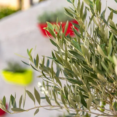 Bernie Opatija, Prime Location, Parking, Open All Year Round Opatija